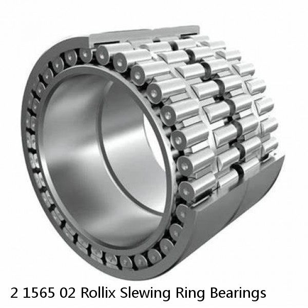 2 1565 02 Rollix Slewing Ring Bearings