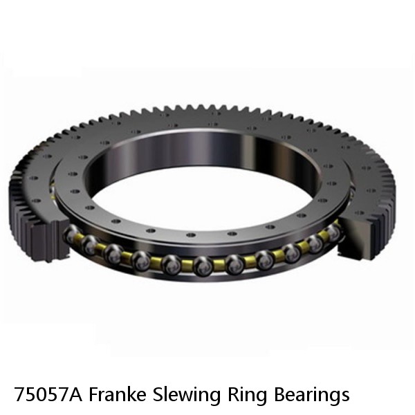 75057A Franke Slewing Ring Bearings