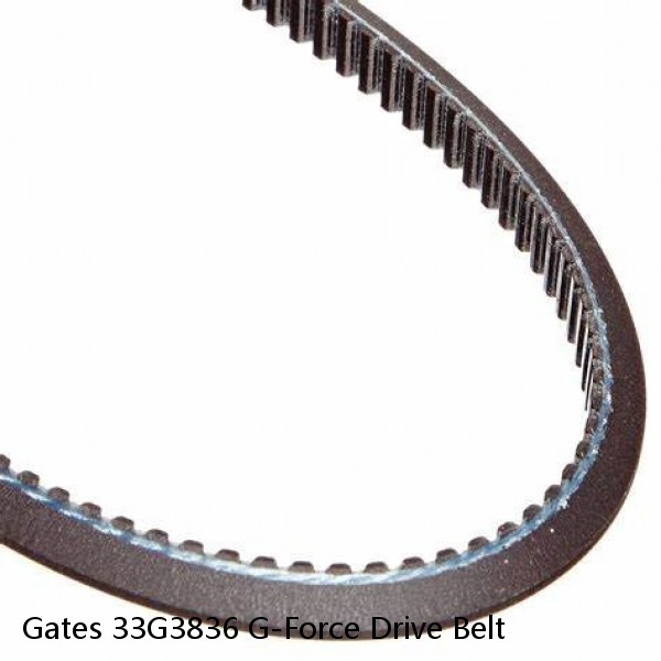 Gates 33G3836 G-Force Drive Belt
