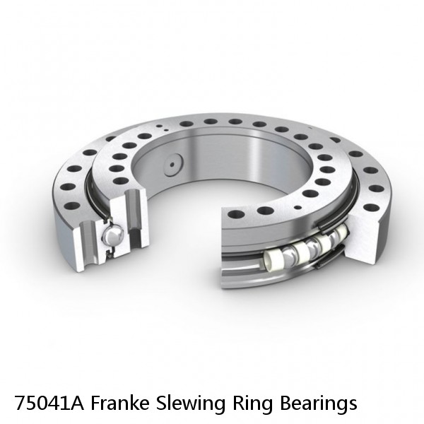75041A Franke Slewing Ring Bearings