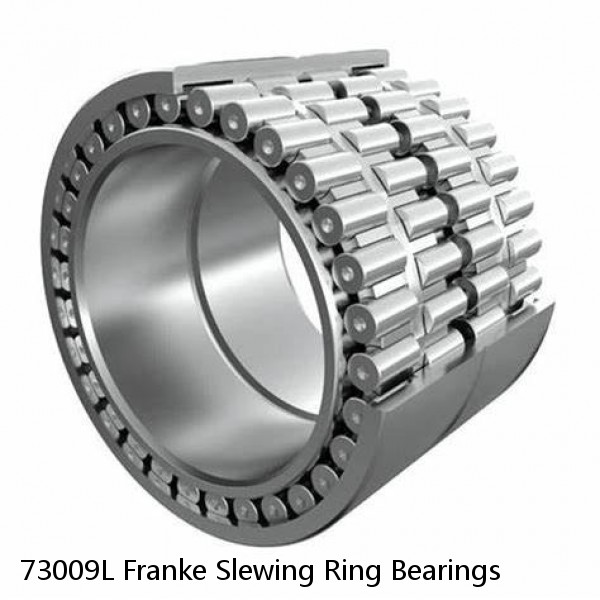 73009L Franke Slewing Ring Bearings
