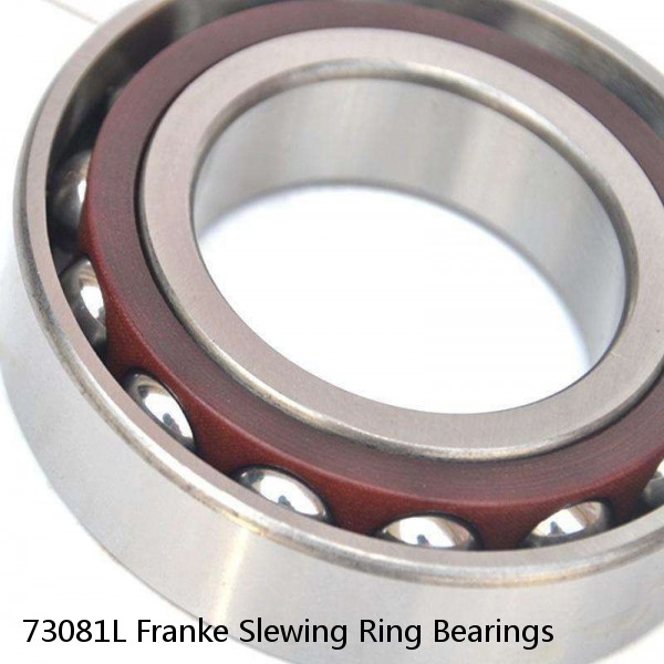 73081L Franke Slewing Ring Bearings #1 small image