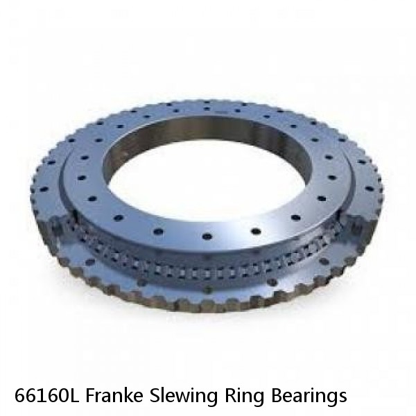 66160L Franke Slewing Ring Bearings #1 small image