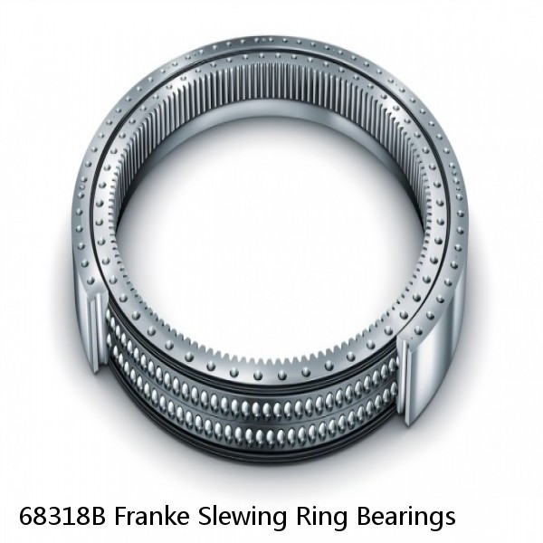 68318B Franke Slewing Ring Bearings #1 small image