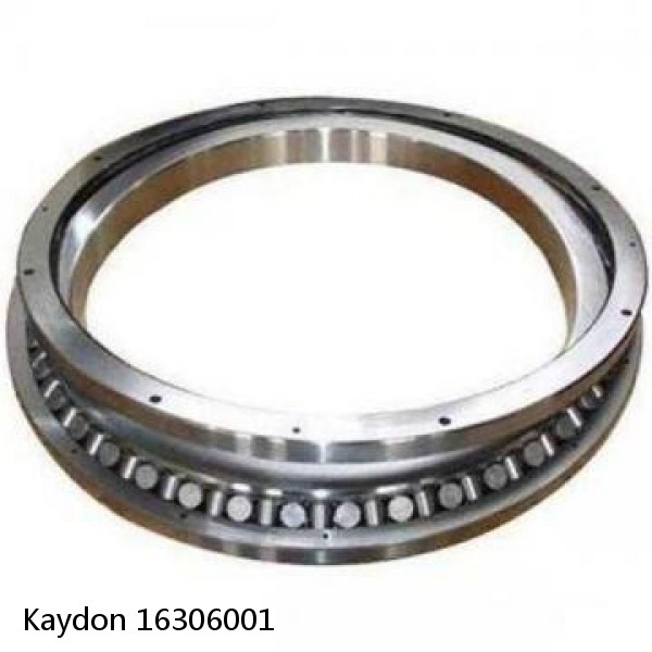 16306001 Kaydon Slewing Ring Bearings #1 small image