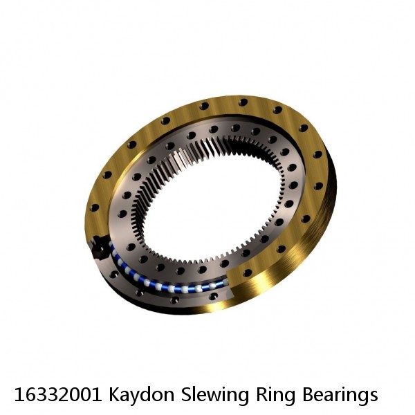 16332001 Kaydon Slewing Ring Bearings #1 small image