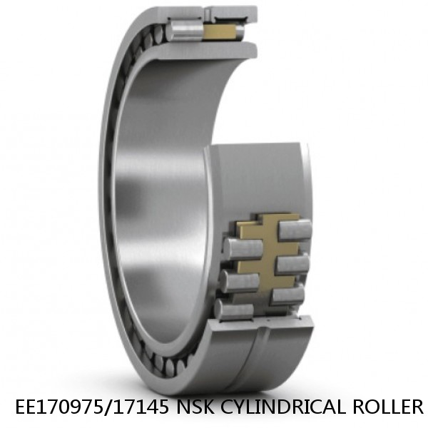 EE170975/17145 NSK CYLINDRICAL ROLLER BEARING #1 small image