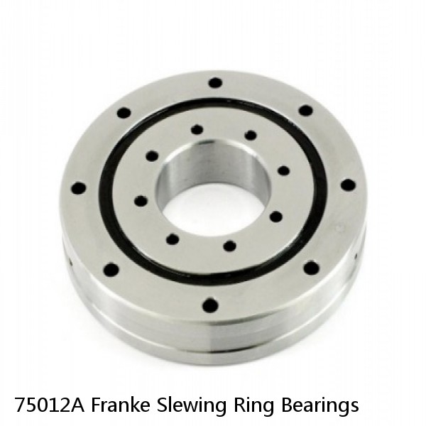 75012A Franke Slewing Ring Bearings #1 image