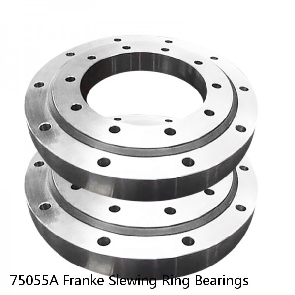75055A Franke Slewing Ring Bearings #1 image