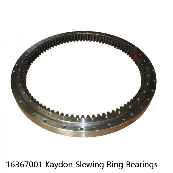 16367001 Kaydon Slewing Ring Bearings #1 image
