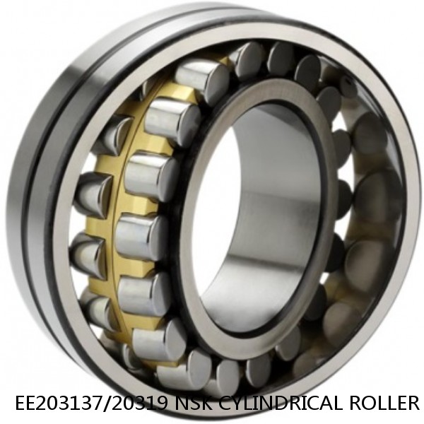 EE203137/20319 NSK CYLINDRICAL ROLLER BEARING #1 image