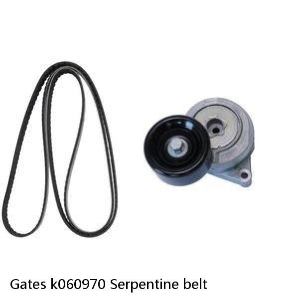 Gates k060970 Serpentine belt #1 image